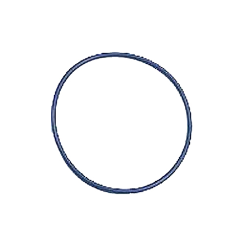 Pentair K4-M6-S18 Replacement O-Ring, For U25 Omni Whole House Water Filters, Blue
